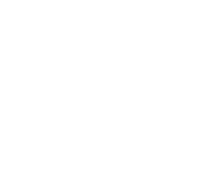 Welsh Assembly Government Logo